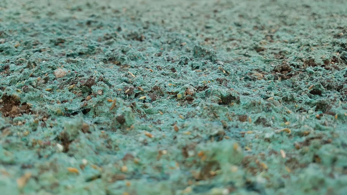 Hydroseed in Manor TX